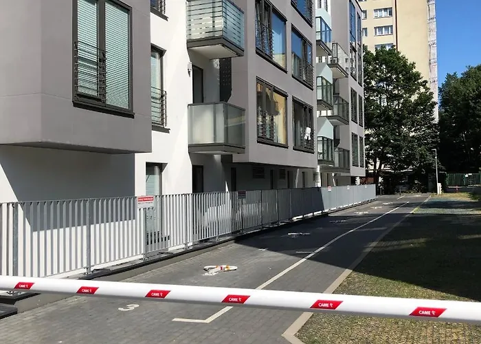 Blue In Vibrant Heart Of *